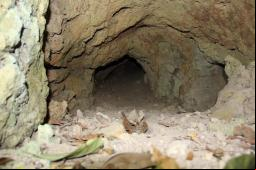 Caverna da On